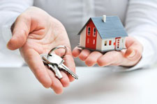 Live Oak Property Management